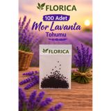 FLORICA 100 Adet Mor Lavanta Tohumu – Lavanta Çiçeği Tohumu Bahçe ve Saksı İçin