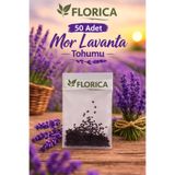 FLORICA 50 Adet Mor Lavanta Tohumu – Lavanta Çiçeği Tohumu Bahçe ve Saksı İçin