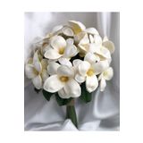 Florista Manolya Gelin Buketi 12li