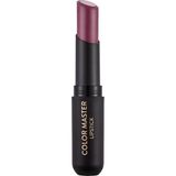 Flormar Color Master Lipstick (010 Rosy Vibes) 8682536018005