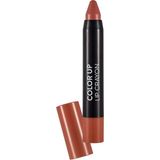 Flormar Color Up Lip Crayon 002 Somon Rengi Ruj Kompakt Formda A Vitamini İçerir