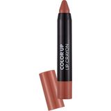 Flormar Color Up Yüksek Pigmentli & Yarı Mat Bitişli Kremsi Kalem Ruj
