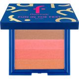 Flormar Fun İn The Fest Işıltılı Allık Karışık Renk Tonu Toz Formda Tüm Cilt Tipleri İçin Doğal Görünüm - KARIŞIK