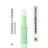 Flormar Shea ve Kakao Yağı İçeren Renkli Dudak Nemlendiricisi (Elma) - 001 APPLE - 8690604555369