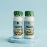 Flower Fuel 500 ml Sıvı Bitki Besini 2'li Paket