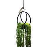 Flower Tavana Asılan Siyah Ferforje Çiçeklik Bahçe Balkon Çiçek Saksı Dekoratif Duvar Saksılık Askı
