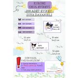 Flowery Paper Kuromi Okul Kalem Defter Kitap Etiketi Özel Isim Yazılabilen Suya Dayanıklı Etiket - 200 Adet