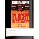 Flucht durch die Nacht: Roman