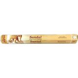 Flute Sandal Tütsü 20'li
