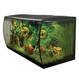 Fluval Flex 123 lt Siyah Akvaryum