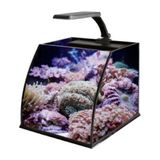 Fluval Haqos Belly Box 25 Ledli Sumplu Nano Akvaryum 26X26X24CM
