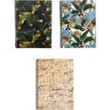 Fly Color A4 3 Adet Art Style Spiralli Plastik Kapak 96 Yaprak Kareli Desenli Defter Seti