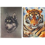 Fly Color A4 P.p Kapak 96 Yaprak Kareli Desenli Spiralli Defter Seti 2'li - KaplanVeKurt