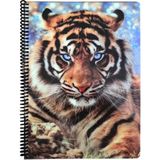 Fly Color A4 P.p Kapak 96 Yaprak Kareli Kaplan Desenli Spiralli Defter