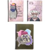 Fly Color Art Style 80 Yaprak Çizgili Plastik Kapaklı Spiralli Defter Desenli 3'lü