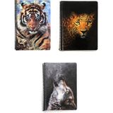 Fly Color Art Style 80 Yaprak Kareli Plastik Kapaklı Spiralli Defter Desenli 3'lü