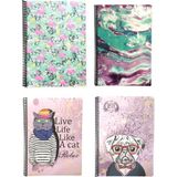 Fly Color Art Style 80 Yaprak Kareli Plastik Kapaklı Spiralli Defter Desenli 4'lü