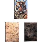 Fly Color Art Style 96 Yaprak Çizgili Plastik Kapaklı Spiralli Defter Desenli 3'lü