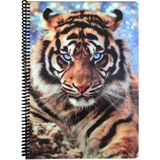 Fly Color Art Style Kareli Plastik Kapaklı Spiralli Defter