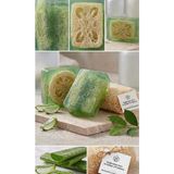 Fm Bitkisel Aloe Vera Özlü Doğal Süt Kabağı Süngerli Sabun — Doğanın Nemlendirici Dokunuşu 🌿 100~110GR - Yeşil