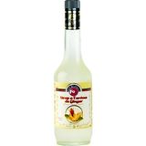 Fo Zencefil Aromalı Kokteyl Şurubu 700 ml - 25 gr
