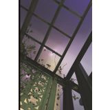 Foggy Night in Mobile, AL Daily Journal: 6x9, 98 lined pages