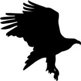 Folyo Sticker Kartal ADKPQUY624 70cm Uzunluk