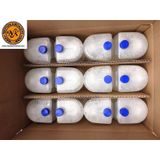 Fomy 1000 ml 12 Adet Standart Köpük Sabun