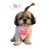 For a Fur Köpek Kedi Doğum Günü Aksesuarı Birthday Fular Boyunluk Yakalık