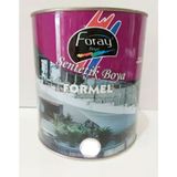 Foray Formel Beyaz 1 kg Sentetik Mat Boya