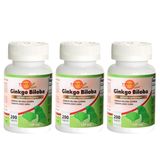 Force Nutrition Ginkgo Biloba 120 mg 3x200 Tablet