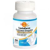 Force Nutrition Lactaforce Laktaz Enzimi 60 Tablet
