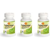 Force Nutrition Lesitin Ginkgo Biloba Koenzym Q10 90 Kapsül 3 Kutu - Zeytin Yaprağı