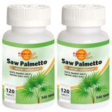 Force Nutrition Saw Palmetto 2x120 Tablet