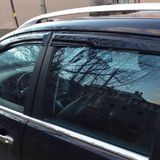 Ford C 2010-Max Mugen Cam Rüzgarlığı