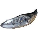 Ford Fiesta Mercekli Sol Far (2008-2012) - Depo Marka - 8A61 13W030 Ch