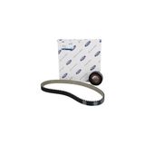 Ford (Otosan) // 2T1Q 6M260 A1A N // Triger Seti // Connect