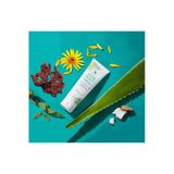 Forever Living Aloe Body Wash 236 ml Duş Jeli
