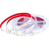 Forlife Iç Mekan 4040 3 Çipli Silikonsuz 5 Metre Şerit LED Günışığı - Gün Işığı