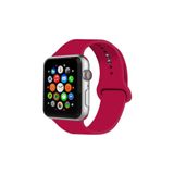 Forsis Aksesuar Apple Watch 7 Uyumlu Silikon Kordon 45 Mm S/m