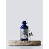 Forte Plus Cats 100 ml (Kedi Için Tüy Sağlığı - Tüy Dökülmesi Önleyici Damla)
