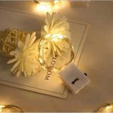 ForWhat Bahçe Keyfi için Pilli 2MT Gün Işıklı Peri Led Ağaç Süs Işıklandırması