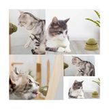 ForWhat Büro Ev Evcil Hayvanı İçin Kedi Nanesi Oyun Topu