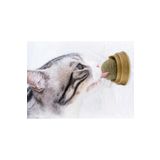 ForWhat Büro Ev Evcil Hayvanı İçin Kedi Otu Oyun Topu