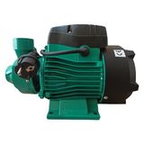 Forza Italia QB80 Santrifüj Pompa 1 hp Bakır Sargı