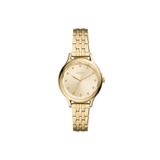 Fossil FBQ3863 Kadın Kol Saati