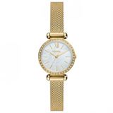 Fossil FBQ3898 Kadın Kol Saati