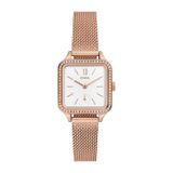 Fossil FBQ3971 Kadın Kol Saati