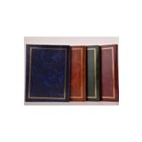 FotoDijital Fotoğraf Albümü 200'lük 10x15 Özel Seri Lüks Albüm Yeşil Memo Özellikli