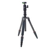 Fotopro X-GO Bükümlü Kilit Karbon Tripod Entegre Monopodlu, FPH-42Q Top Başlı, 17 lbs Kapasite, 56" Maksimum Yükseklik
